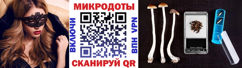 mega ссылки  Болохово  Псилоцибиновые грибы мицелий  где купить наркотик 